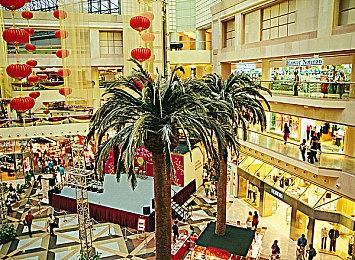 索尼上海总裁新春祝福视频：一起创造快乐记忆